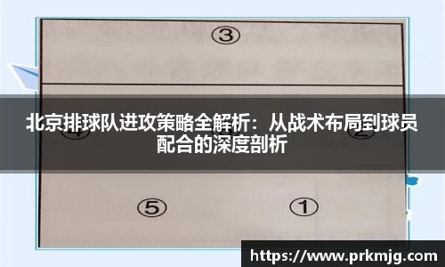 北京排球队进攻策略全解析：从战术布局到球员配合的深度剖析