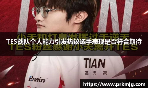TES战队个人能力引发热议选手表现是否符合期待